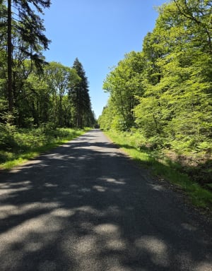 Bretagne à vélo et circuit des Vieilles Pierres - Saint-Pierre-de-Plesguen (Mesnil-Roc'h) - 7