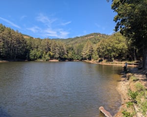 Rando ombragée en boucle autour du barrage de Thurins - Marie - 3