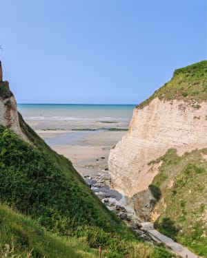 Entre plage et bois à Varengeville - Varengeville-sur-Mer - 5