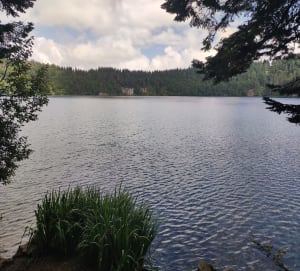 Aller retour Besse en passant par le Lac Pavin - Besse-et-Saint-Anastaise - 26