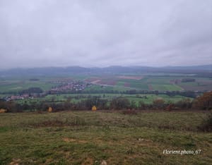 Le sommet du Bastberg - Bouxwiller - 11