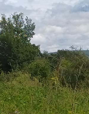 Rando autour de Courbiac - Virginie - 4