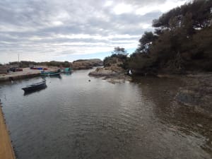 Balade jusqu'à l'île du Grand Gaou - Six-Fours-les-Plages - 12