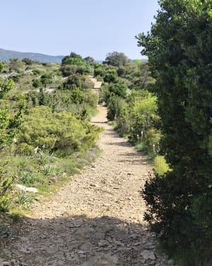 Het Infernet-cirque via het Fenestrettes-circuit - Saint-Guilhem-le-Désert - 25