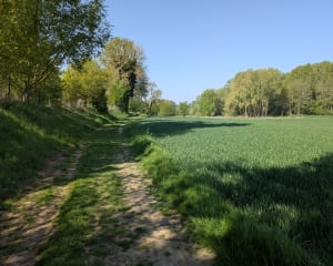 Balade autour de Wailly - Wailly - 3