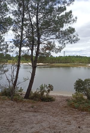 Tour du lac de Saint Jean d'Illac - Saint-Jean-d'Illac - 6