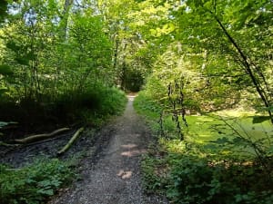 Une belle balade en forêt de la Roberstau - Strasbourg - 4