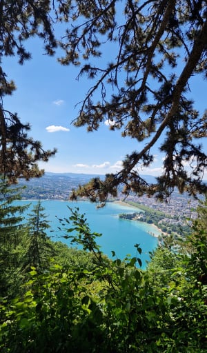 Balade en forêt et vue sur le lac d'Annecy - Annecy - 12