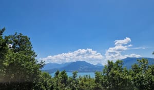 Balade en forêt et vue sur le lac d'Annecy - Annecy - 13