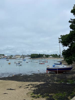 De Sainte-Marine à l'Ile-Tudy et être charmé en toute saison - Sainte-Marine - 8