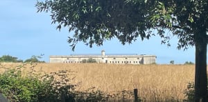 Rondleiding op Île Madame en leuke ervaring op de Passe aux Bœufs - Saint-Nazaire-sur-Charente - 20