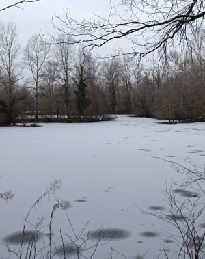 Vichy Groene Weg - Vichy - 5