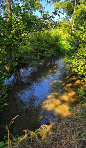 Boucle autour de Licques - Licques - 4