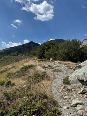 Het Vizzavona-bos en zijn weelderige Engelse waterval - La Foce - 8