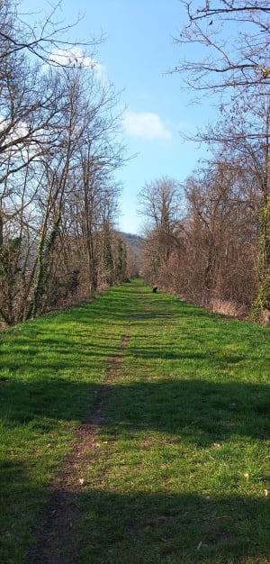 Paysages du Tarn et incontournable village de Cordes-sur-ciel - Cordes-Sur-Ciel - 4