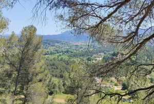 Les falaises de Valabre - Gardanne - 7