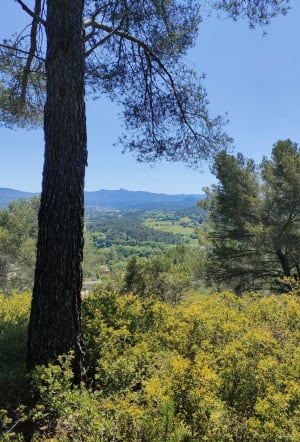 Les falaises de Valabre - Gardanne - 8