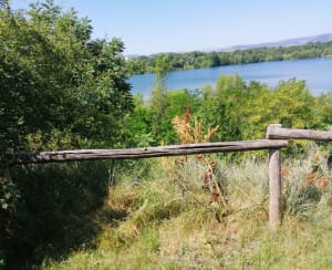 Boucle des étangs de Pérignat-sur-Allier. - La Roche-Noire - 8