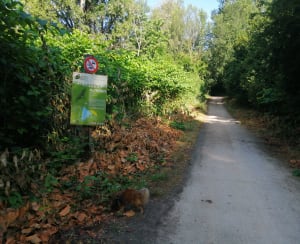Boucle des étangs de Pérignat-sur-Allier. - La Roche-Noire - 9