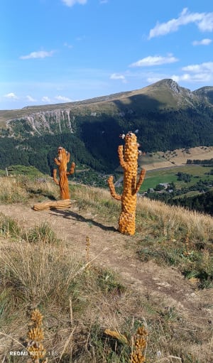 Capucin-plateau in Mont-Dore - Mont-Dore - 4