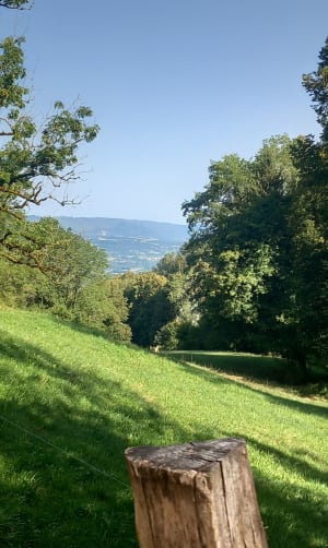Balade au Montcel - Montcel - 4