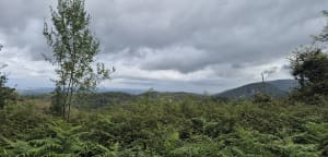 Le col d'Ibardin depuis Herburu - Urrugne - 6