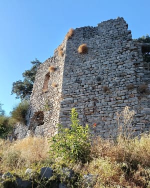 Flassans-sur-Issole et le château de Pontevès - elina - 4