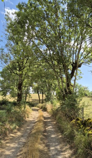Muret le Château - Muret-le-Château - 5
