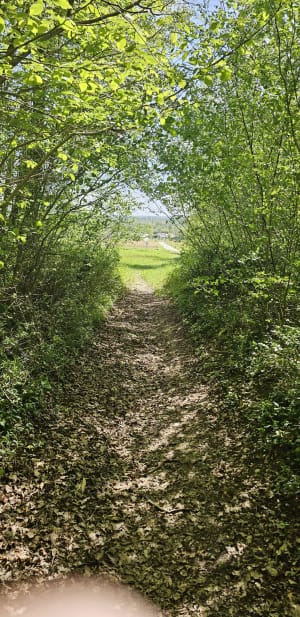 Randonnée autour de Bords - Bords - 6