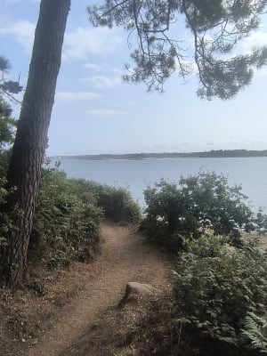 Tronçon GR34 de Carantec, par la Pointe de Penn al Lann - Bruno - 24