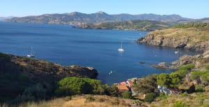 Boucle du Cap Béar, par Fort Béar et Paulilles - Port-Vendres - 11
