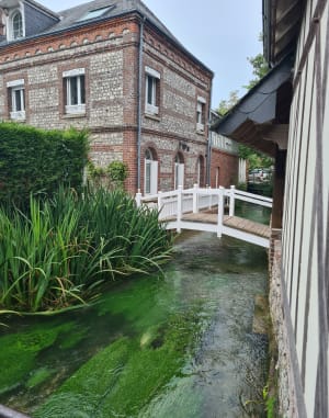 Circuit du plus petit fleuve de France - Veules-les-Roses - 121