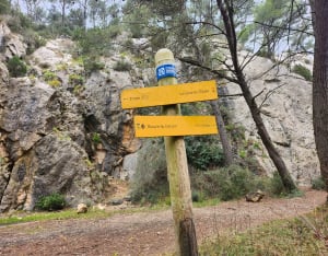Canyon provençal et bain de nature à Simiane-Collongue - Simiane-Collongue - 15