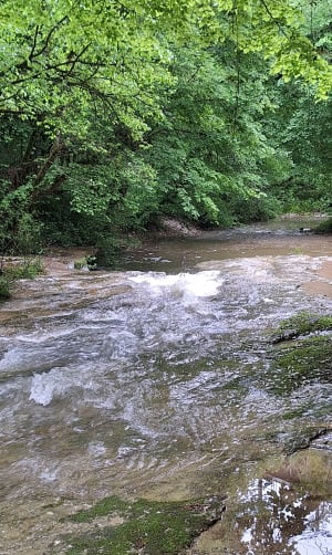 Randonnée à la cascade du Pain de Sucre - Challonges - 11