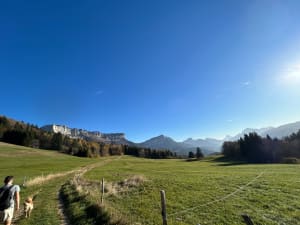 Granges de Joigny - Apremont - 10
