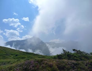 Au cœur du Val d'Azin et paysages à couper le souffle - Arbéost - 40
