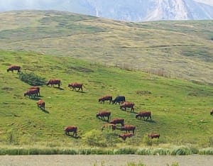 Au cœur du Val d'Azin et paysages à couper le souffle - Arbéost - 43