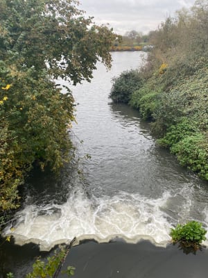 Randonnée sur les bords de l'Escaut à Valenciennes - Marie - 4