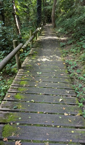 Wandel tussen de bossen en de Pinchonvalles-slakkenberg - Givenchy-en-Gohelle - 42