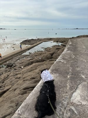 Petite balade du Port Blanc à Dinard et sentier du GR® 34 - Dinard - 2