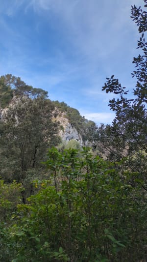 Canyon provençal et bain de nature à Simiane-Collongue - Simiane-Collongue - 8