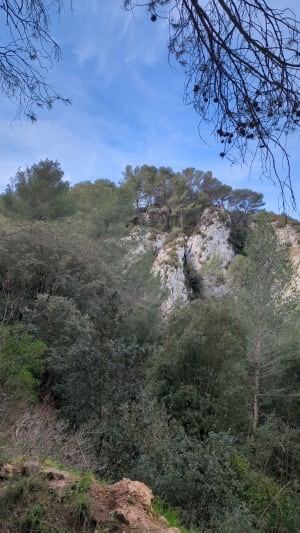 Canyon provençal et bain de nature à Simiane-Collongue - Simiane-Collongue - 9