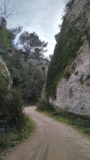 Canyon provençal et bain de nature à Simiane-Collongue - Simiane-Collongue - 10