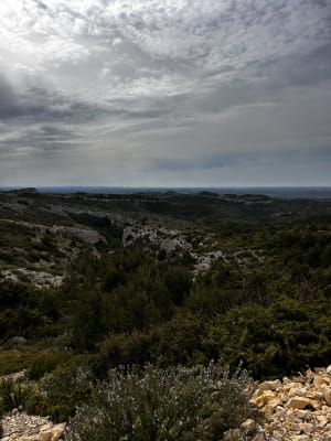 De Trincades en de Blauwe Lagune van Maussane-les-Alpilles - Maussane-les-Alpilles - 45