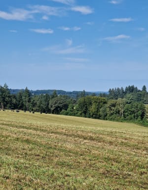 Chemin de Caux la Mazière à Royères - Le Châtenet-en-Dognon - 8