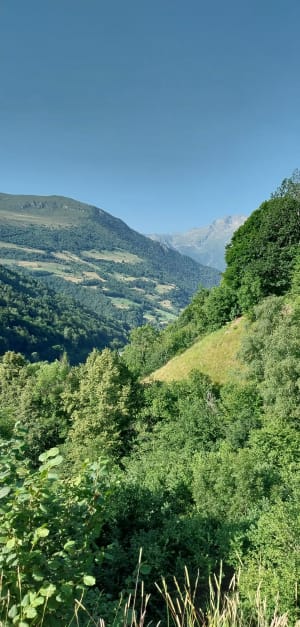 De bloemenberg van Barèges - Barèges - 8