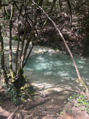 Sources de l'Huveaune - Nans-les-Pins - 38