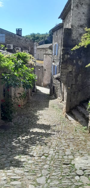 Le tour de la rivière depuis Labeaume - Labeaume - 18