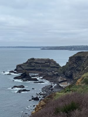 Lus naar Roscanvel - Roscanvel - 2