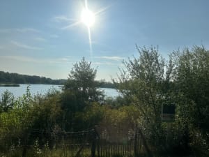 Beauté des lacs autour de Meyzieu - Les Allivoz, Meyzieu - 4